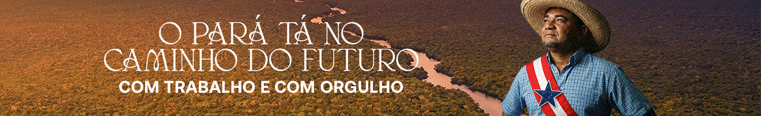 governo do pará