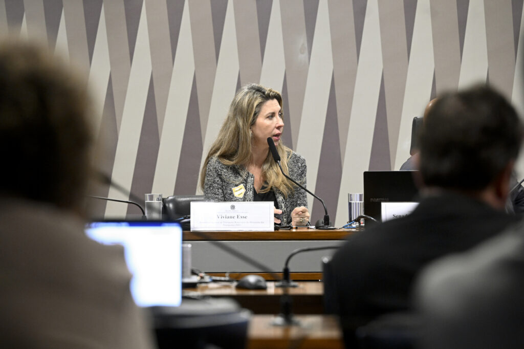 te Rodoviário, Viviane Esse, durante audiência pública realizada na terça-feira
