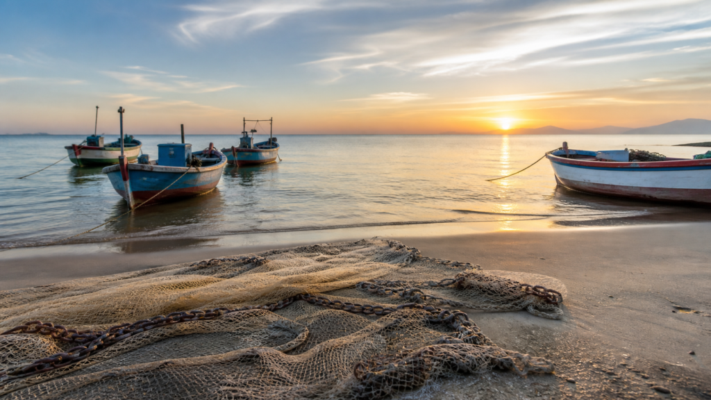 agenciabrasil.ebc.com.br O post Pesca de tainha por arrasto de praia é suspensa após limite da cota ser atingido aparece