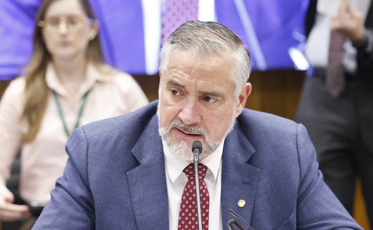 Marina Ramos/ Câmara dos Deputados