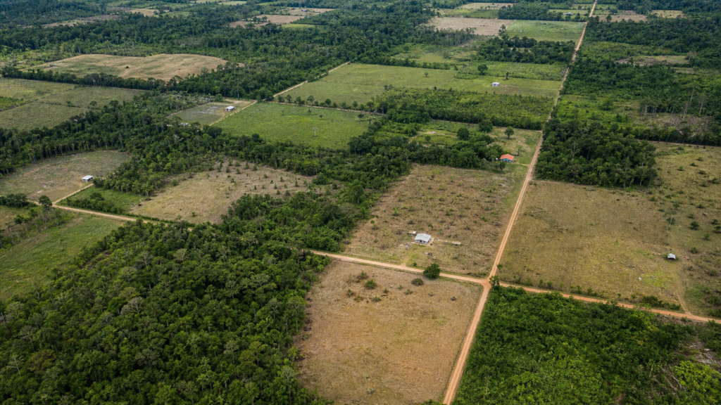 gov.br O post Paraná terá três novos assentamentos com 32,3 mil hectares destinados à reforma agrária apareceu primeiro