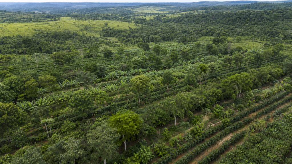 camara.leg.br O post Política para sistemas agroflorestais avança em comissão da Câmara apareceu primeiro em Canal Rural
