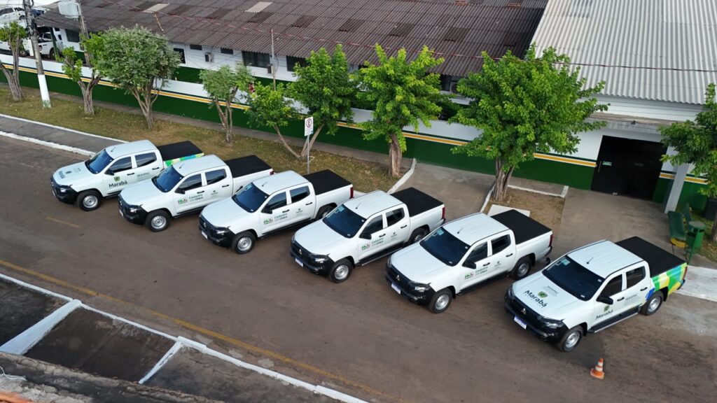 te de viagens e ações administrativas gerais. Os novos automóveis possuem a traç