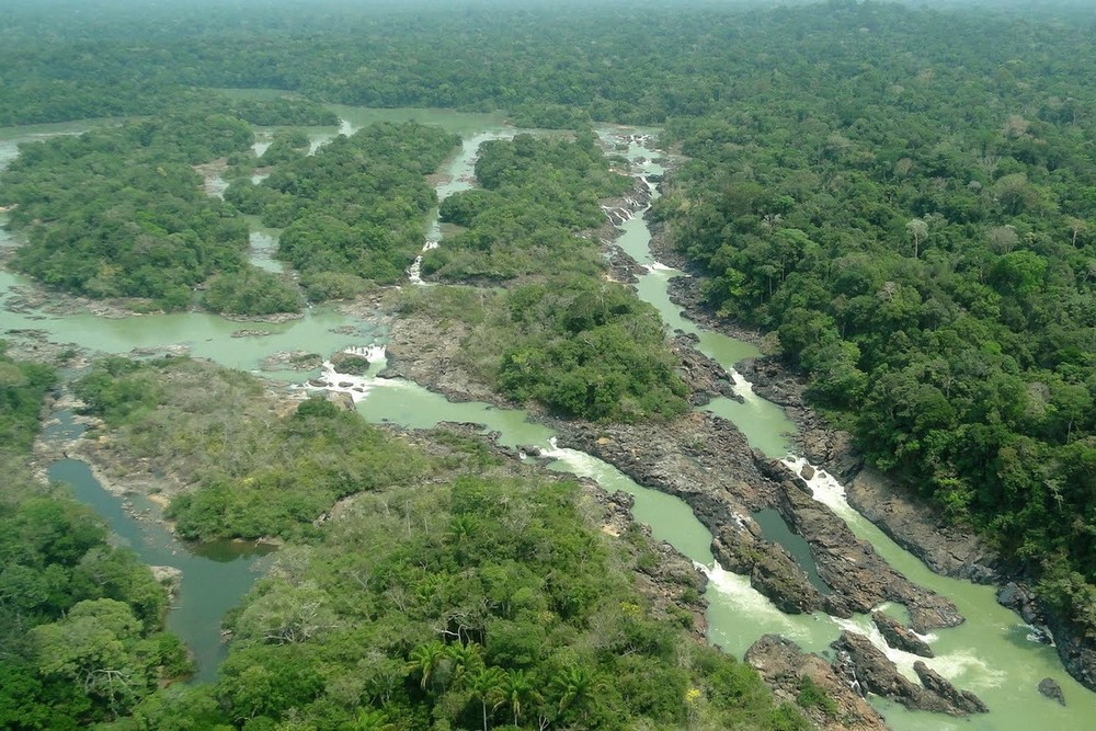 Proposta aprovada no Senado reduz área da Floresta Jamanxim e flexibiliza multas ambientais no Pará