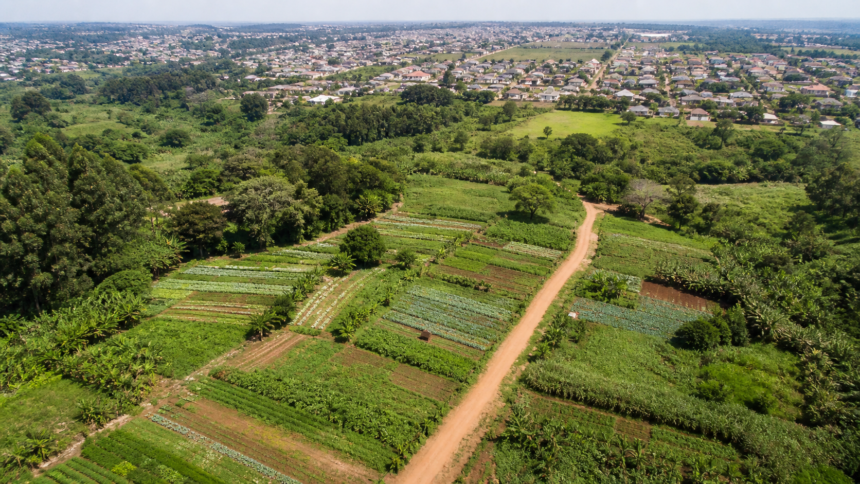 Reforma agrária em SP desapropria Fazenda Itahyê para famílias do MST