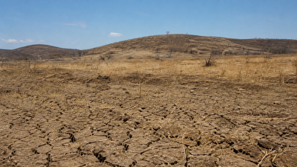 COP17 da desertificação inicia debates globais sobre restauração de solos na Mongólia