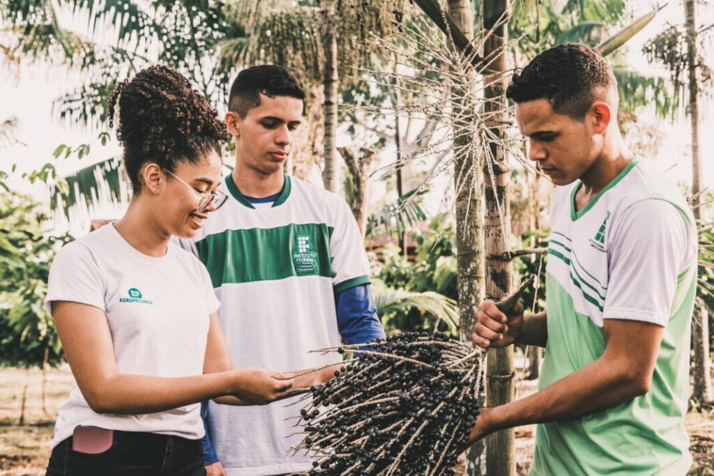 IFPA terá cinco novos campi no interior do Estado e quatro novos cursos
