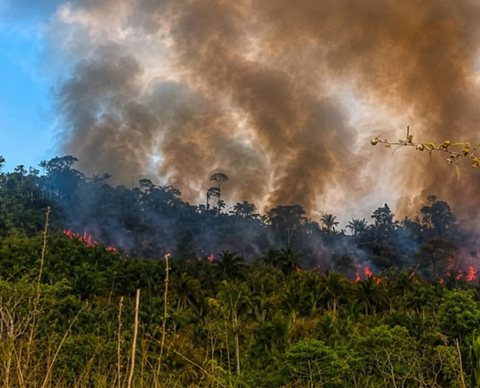 Incêndio ameaça Terra Indígena Apyterewa após ações de desintrusão no Pará