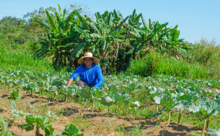 Parauapebas impulsiona agricultura familiar para abastecer merenda escolar