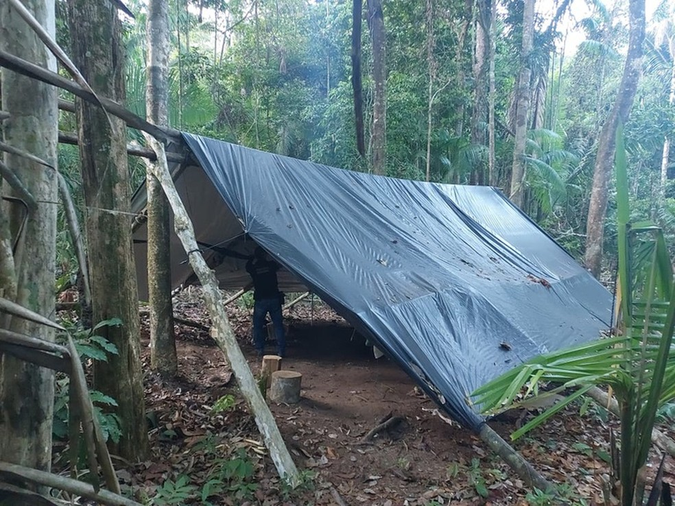 PF deflagra operação contra invasões e desmatamento na Terra Indígena Cachoeira Seca, Pará