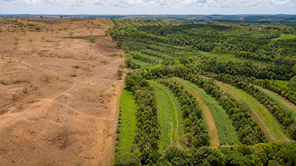 Recuperação de 163 mil km² de terras degradadas é meta do Brasil até 2030