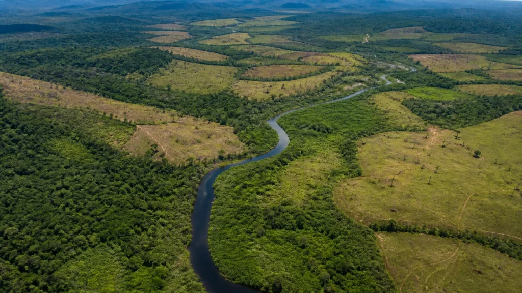 Comunidades indígenas lideram projeto de restauração em 1,79 milhão de hectares na Amazônia
