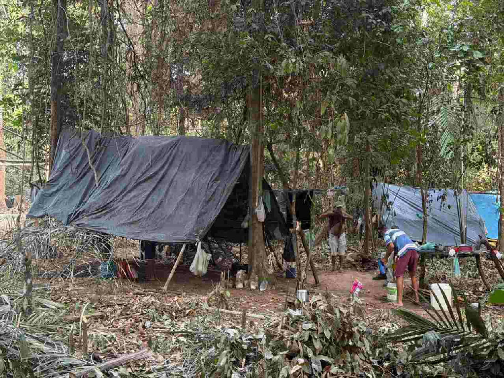 Justiça Federal determina desocupação de Terra Indígena Mãe Maria por ocupantes sem-terra