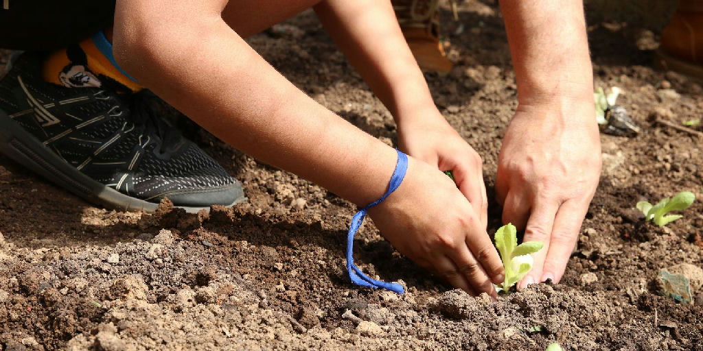 Organizações em São Paulo cobram de candidatos apoio à agroecologia e segurança alimentar
