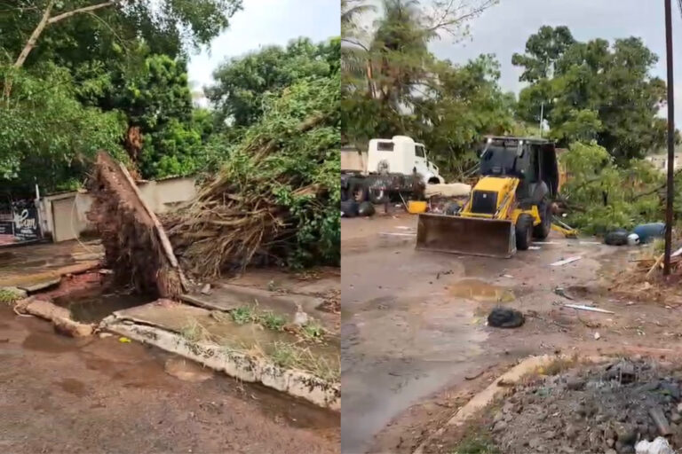 Temporal com granizo e ventos fortes derruba árvores e causa estragos em Xinguara