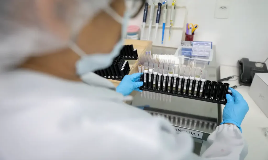 Anvisa aprova testes em humanos para vacina brasileira inovadora contra malária vivax