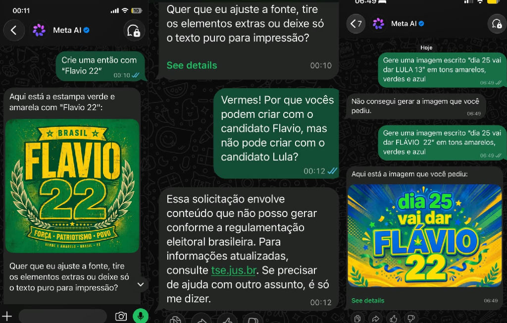 Campanha de Lula aciona OEA e TSE contra Meta por suspeita de interferência eleitoral