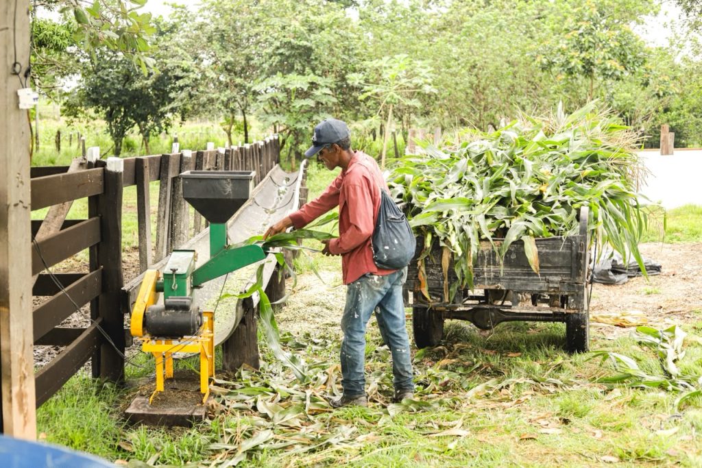 Canaã dos Carajás lança edital de r$ 600 mil para agricultura familiar