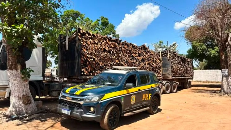 Polícia rodoviária federal apreende 192 metros cúbicos de madeira ilegal no Pará