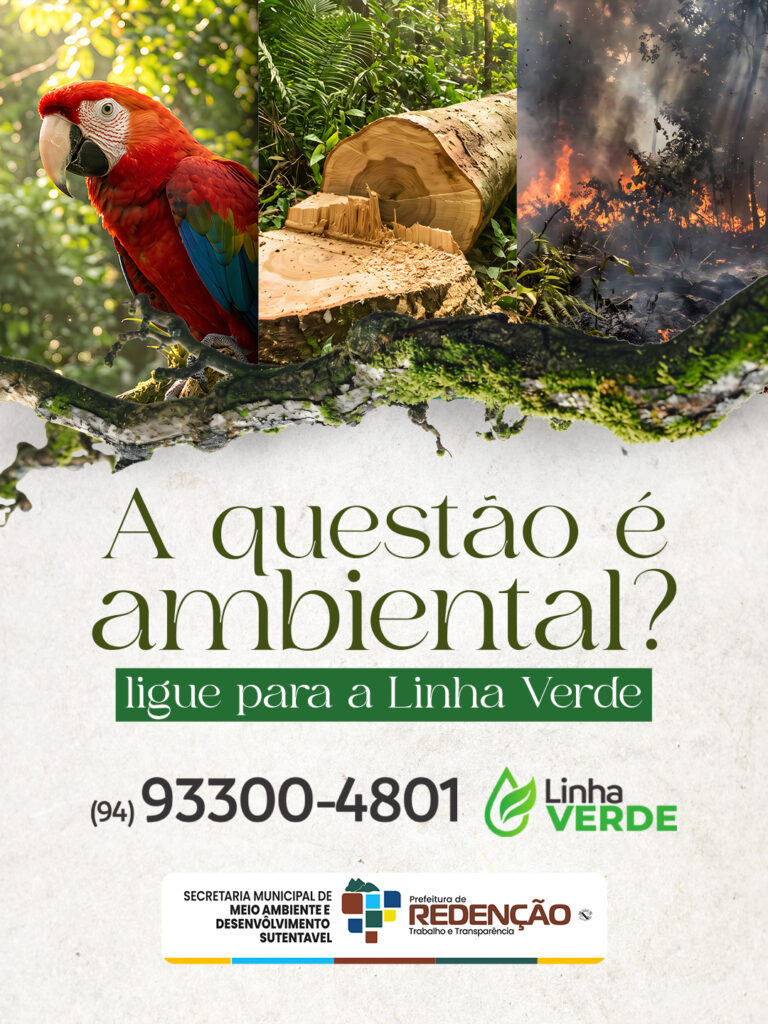 Prefeitura de Redenção disponibiliza Linha Verde para denúncias e orientações ambientais