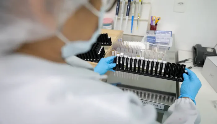 Anvisa aprova testes em humanos para vacina brasileira inovadora contra malária vivax