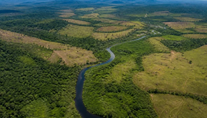 Comunidades indígenas lideram projeto de restauração em 1,79 milhão de hectares na Amazônia