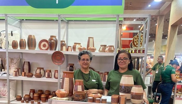 Cooperativa Mulheres de Barro de Parauapebas conquista prêmio nacional de artesanato