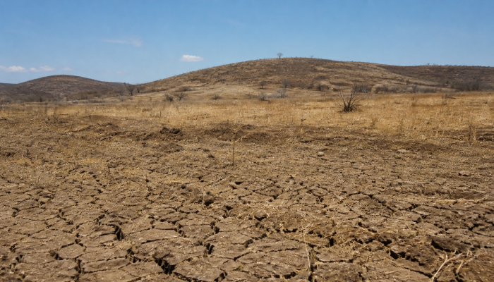 COP17 da desertificação inicia debates globais sobre restauração de solos na Mongólia