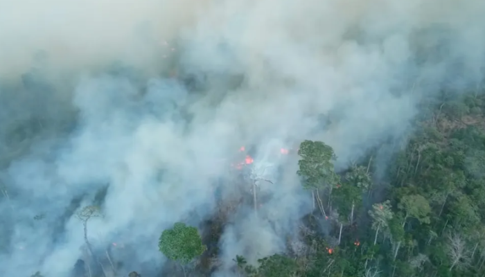 Governo do Pará decreta alerta climático preventivo ao El Niño para enfrentar seca e queimadas