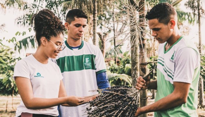 IFPA terá cinco novos campi no interior do Estado e quatro novos cursos