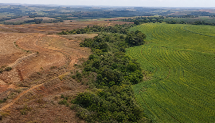 agenciabrasil.ebc.com.br O post Lideranças defendem integração entre clima, biodiversidade e solo no Rio apareceu primei