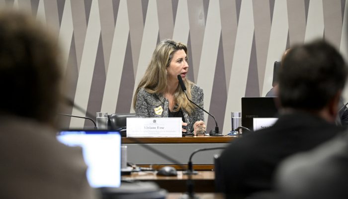te Rodoviário, Viviane Esse, durante audiência pública realizada na terça-feira