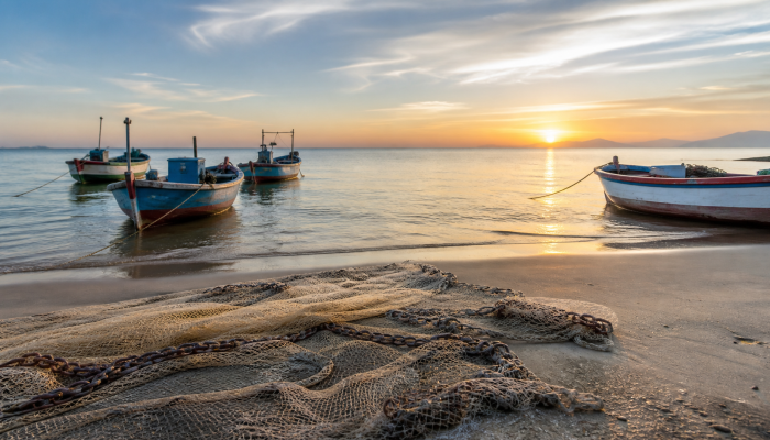 agenciabrasil.ebc.com.br O post Pesca de tainha por arrasto de praia é suspensa após limite da cota ser atingido aparece