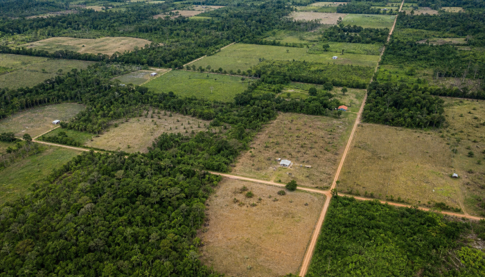 gov.br O post MDA anuncia R$ 313 milhões em ações de reforma agrária em Mato Grosso do Sul apareceu primeiro em Canal Ru