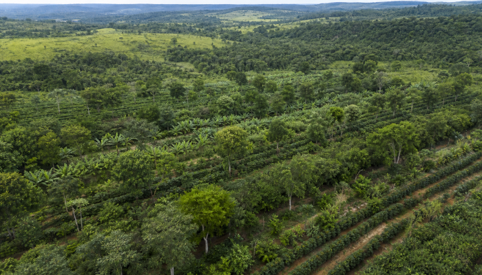 camara.leg.br O post Política para sistemas agroflorestais avança em comissão da Câmara apareceu primeiro em Canal Rural