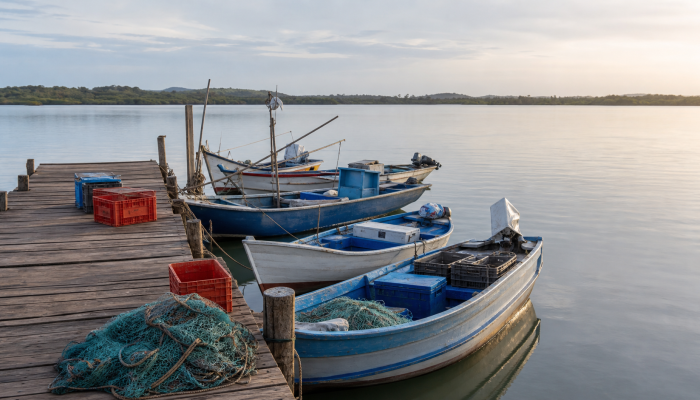 camara.leg.br O post Projeto vincula seguro-defeso ao período real de proibição da pesca apareceu primeiro em Canal Rura