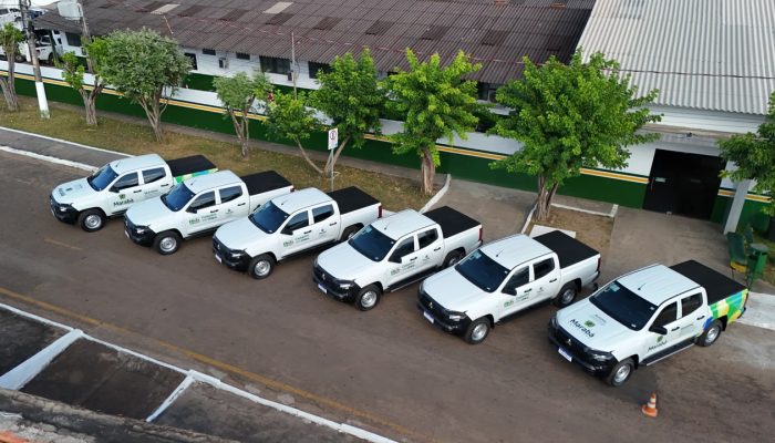 te de viagens e ações administrativas gerais. Os novos automóveis possuem a traç