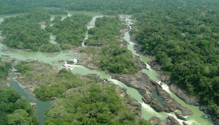 Proposta aprovada no Senado reduz área da Floresta Jamanxim e flexibiliza multas ambientais no Pará