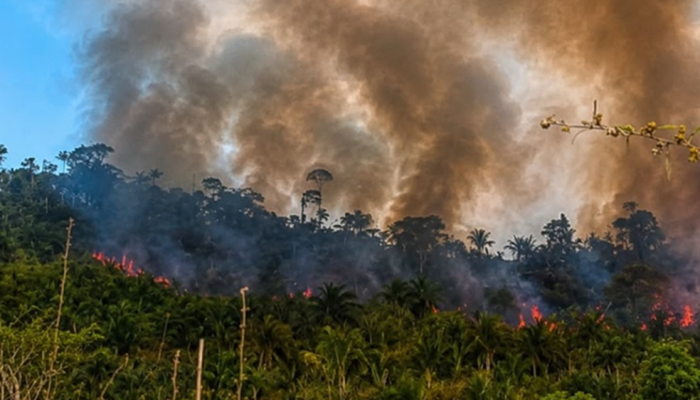 Incêndio ameaça Terra Indígena Apyterewa após ações de desintrusão no Pará