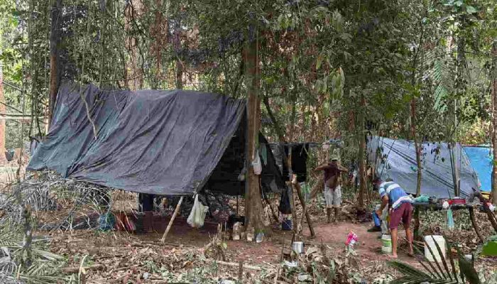 Justiça Federal determina desocupação de Terra Indígena Mãe Maria por ocupantes sem-terra
