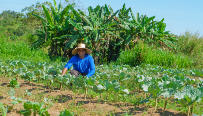 Parauapebas impulsiona agricultura familiar para abastecer merenda escolar