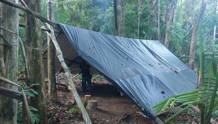 PF deflagra operação contra invasões e desmatamento na Terra Indígena Cachoeira Seca, Pará