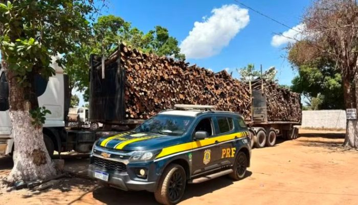 Polícia rodoviária federal apreende 192 metros cúbicos de madeira ilegal no Pará