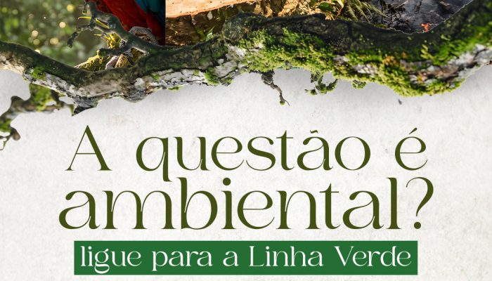 Prefeitura de Redenção disponibiliza Linha Verde para denúncias e orientações ambientais