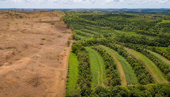 Recuperação de 163 mil km² de terras degradadas é meta do Brasil até 2030