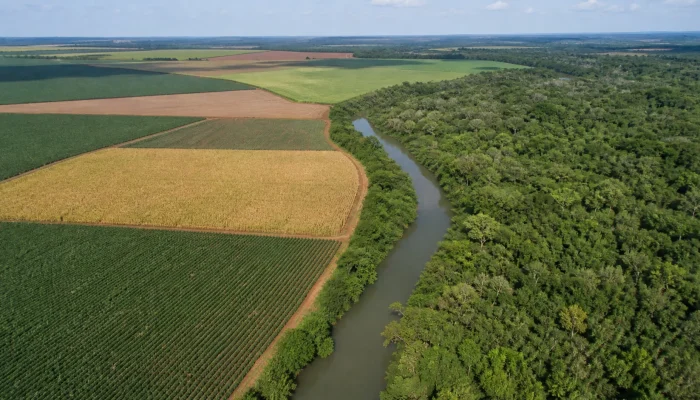 Senado define novas diretrizes e prazos para regularização ambiental de terras rurais no PL 6.531